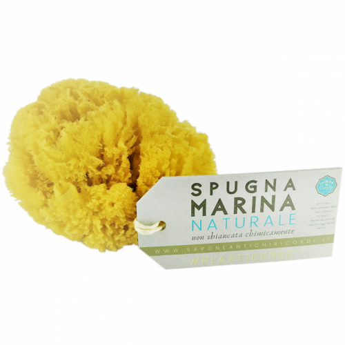 SPUGNA MARINA ADULTI